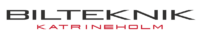 Bilteknik
